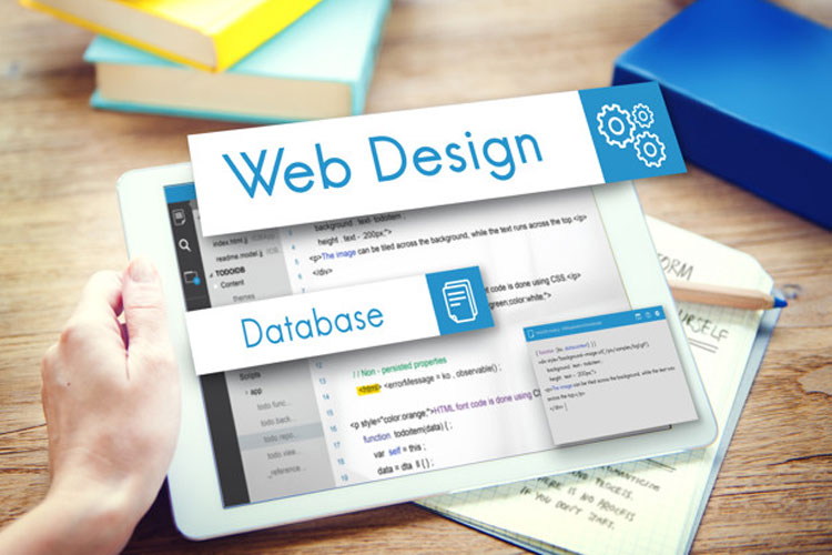 web design service jind